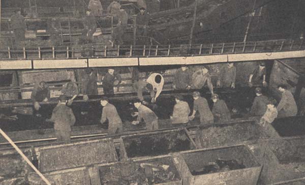 Leseband 1950er